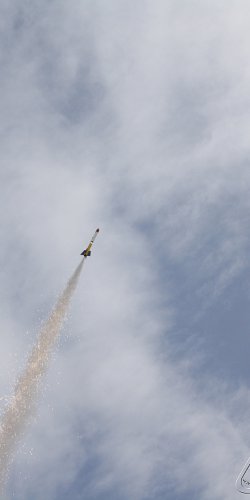 2013 Svojek Mirek Topinka